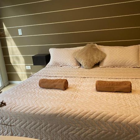 Chardonnay Apartment Mendoza Buitenkant foto